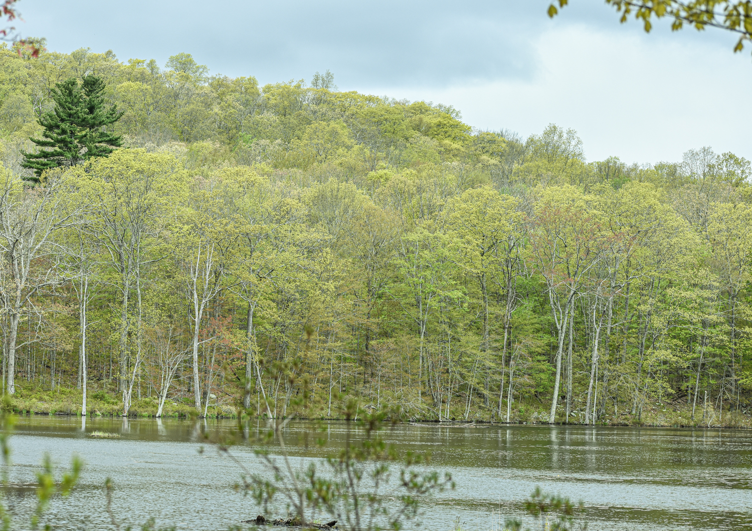 Exploring Birds Bird Habitats